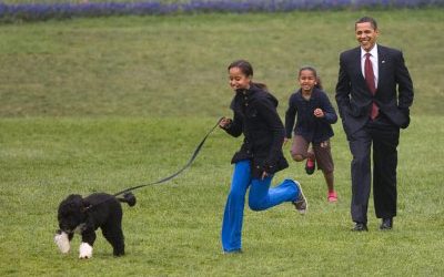 Presidential Pets