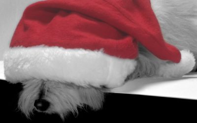 The Best Present