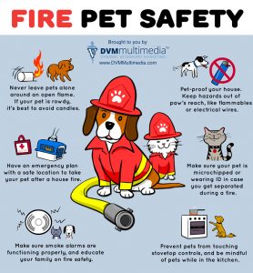 Fire Pet Safety