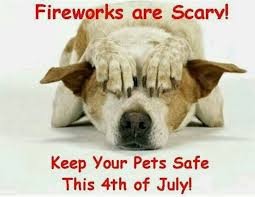 Fireworks are scary
