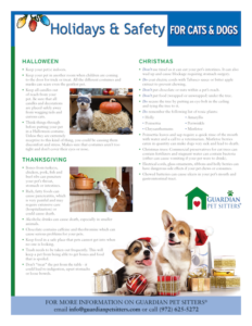 holiday safety for pets