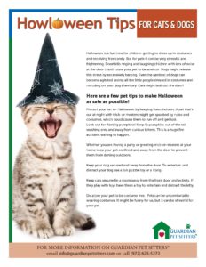 halloween safety for pets